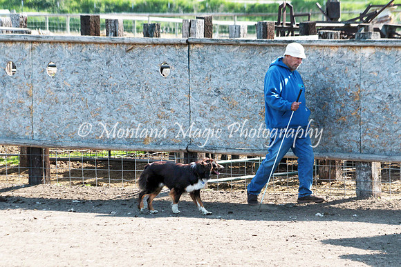 Flash_0607