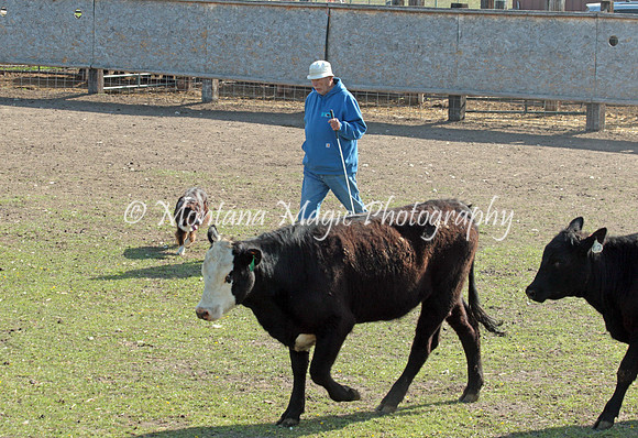 Flash_0610