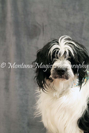 Tucker_0429