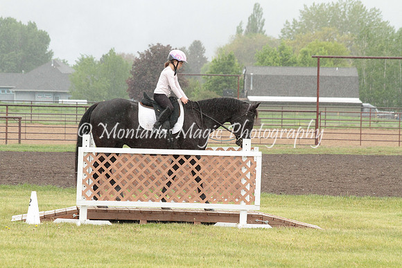 Air Horse One_2946