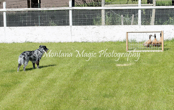 Charlie_6492