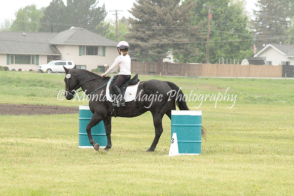 Air Horse One_2948