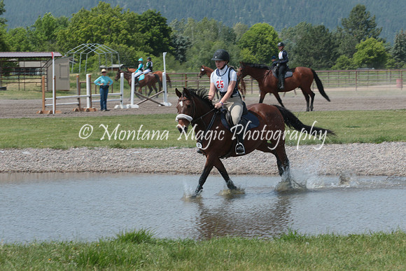 Glen Holly's Teagan_8713