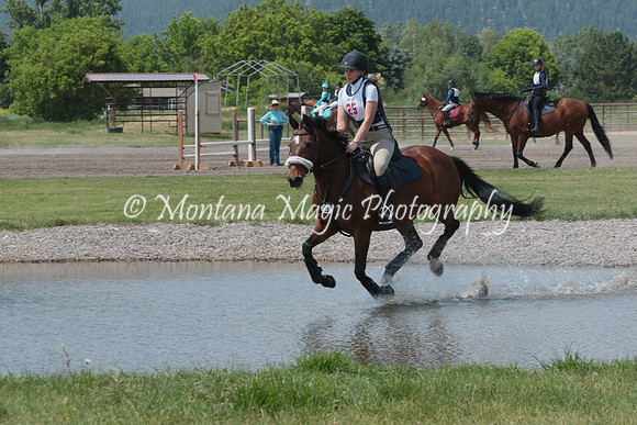 Glen Holly's Teagan_8715