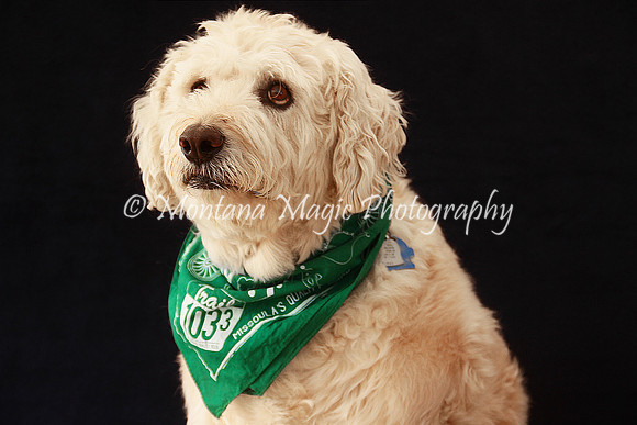 Baxter_9587