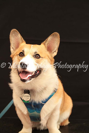 Cosmo_0386