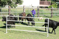 Cayenne_2514
