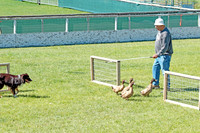 Flash_2648