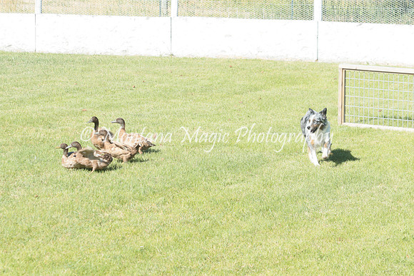 Penny_2546