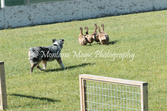 Penny_2560