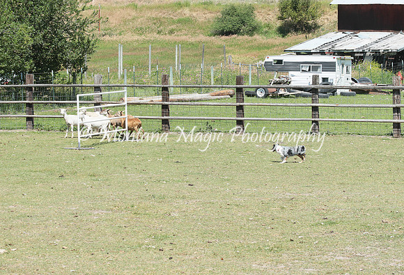 Penny_3837