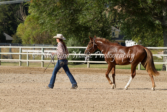 Entry #11_5939