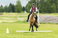 06.2026 Working Equitation