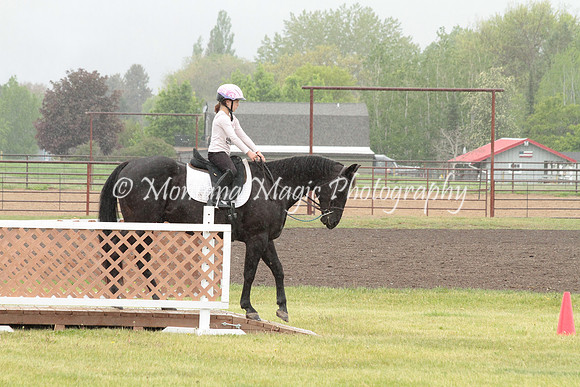 Air Horse One_2947