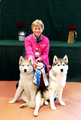 2026.06.01 Therapy Dogs