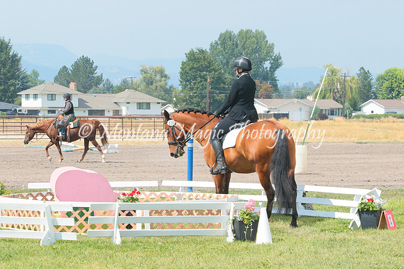 Falco_9322