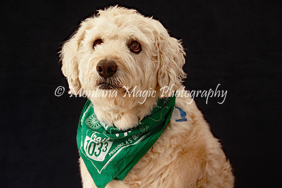 Baxter_9592