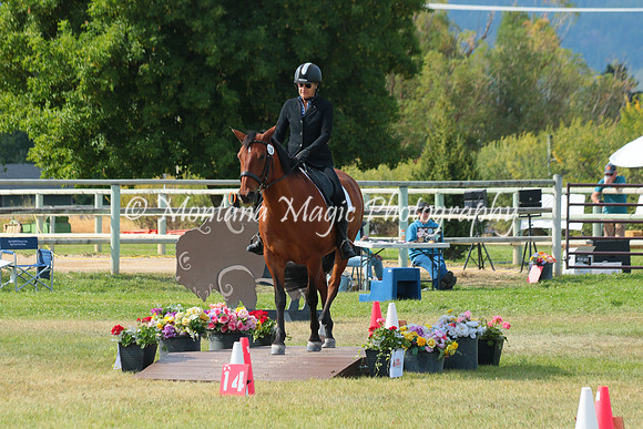Falco_0765