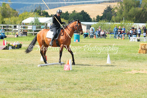 Falco_0804