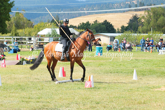 Falco_0806