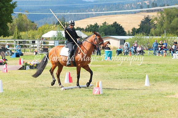 Falco_0807