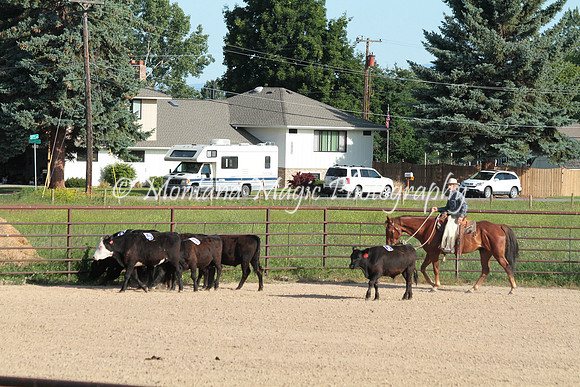 Cattle Clinic Team 1_2178