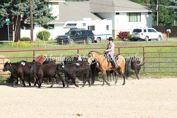 Cattle Clinic Team 1_2228