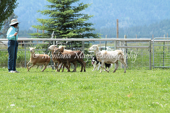 Tippy_0767