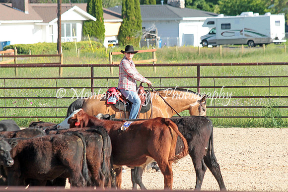 Cattle Clinic Team 1_2201