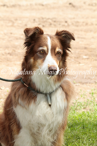 Ruby_0294