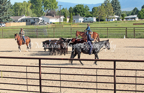 Cattle Clinic Team 1_2197