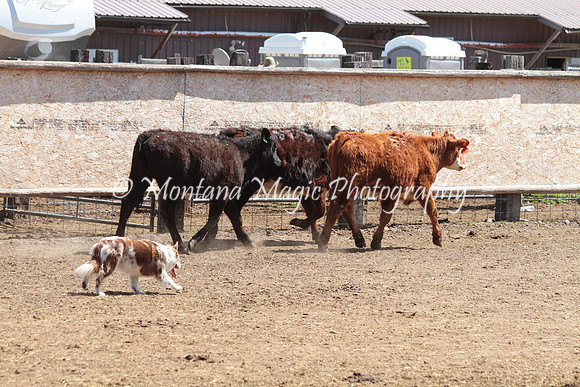 Jolene_0128