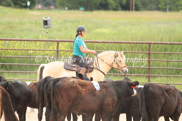 Cattle Clinic Team 4_2403