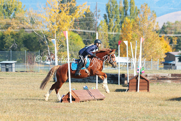 Snoop Horse_4742