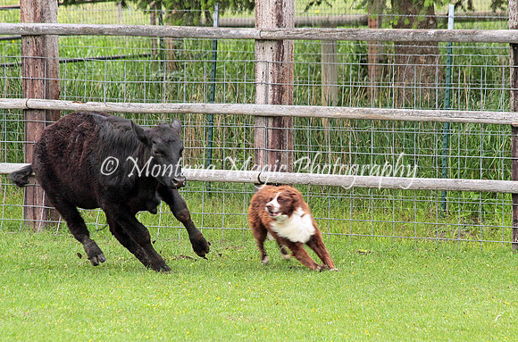 Riddick_0379