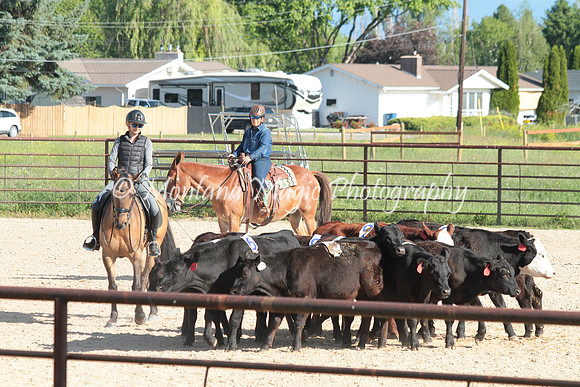 Cattle Clinic Team 1_2206