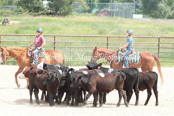 Cattle Clinic Team 3_2322