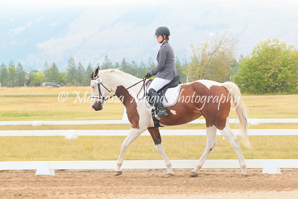 KP Solitaire Dice_2804