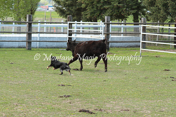 Maggie_0082