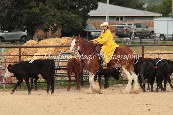 Sorting Team 2_2527