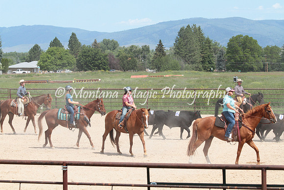Cattle Clinic Team 3_2309