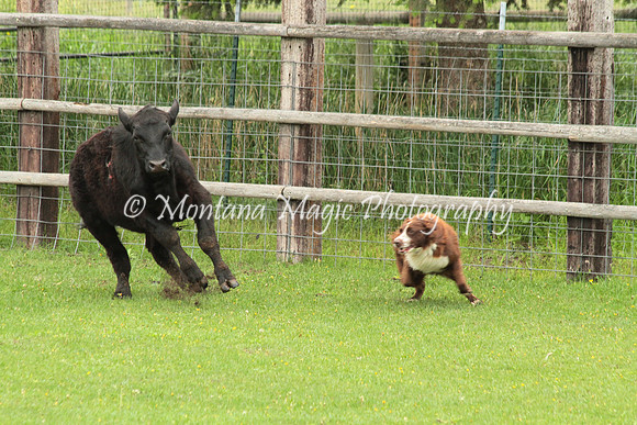 Riddick_0380