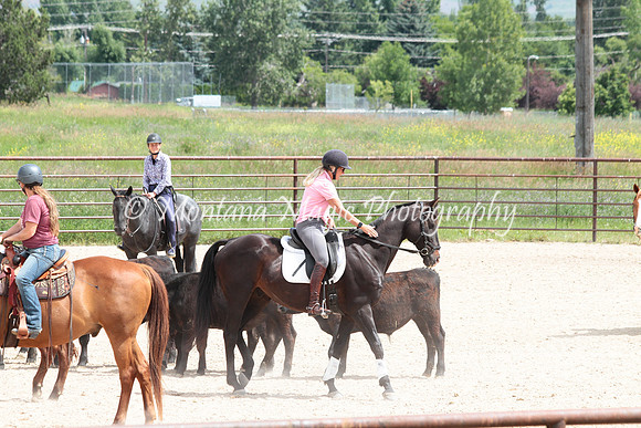 Cattle Clinic Team 3_2330