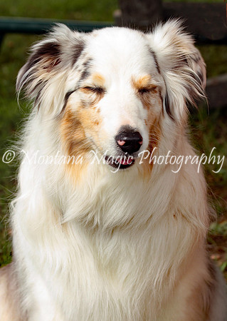 Lola_0241