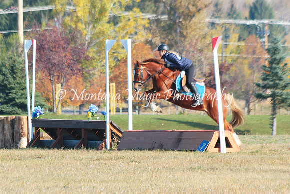 Snoop Horse_4744