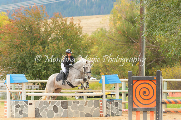 Gavilan Rey_3282