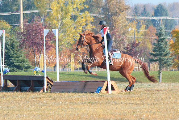 Penny Lane_4571