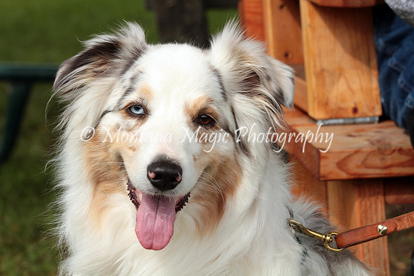 Lola_0223