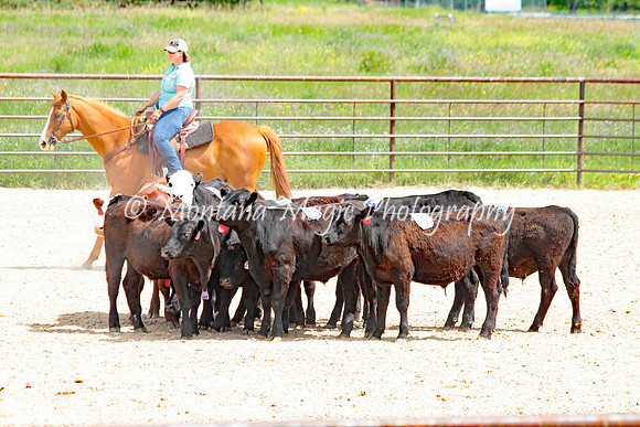 Cattle Clinic Team 3_2320