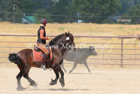 Red Prairie Storm_1679